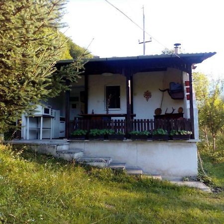 Bungalows Zdravets Berkovitsa Extérieur photo