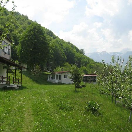 Bungalows Zdravets Berkovitsa Extérieur photo
