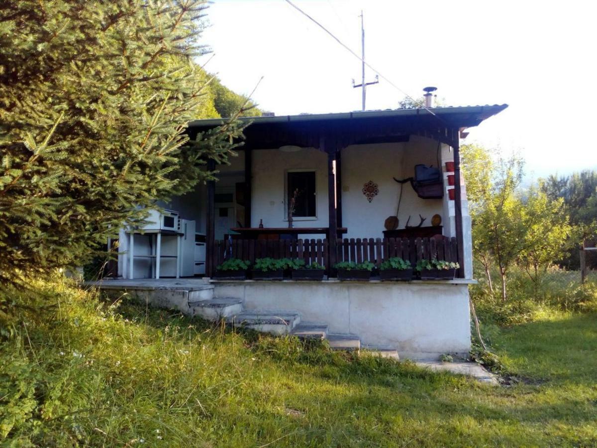 Bungalows Zdravets Berkovitsa Extérieur photo