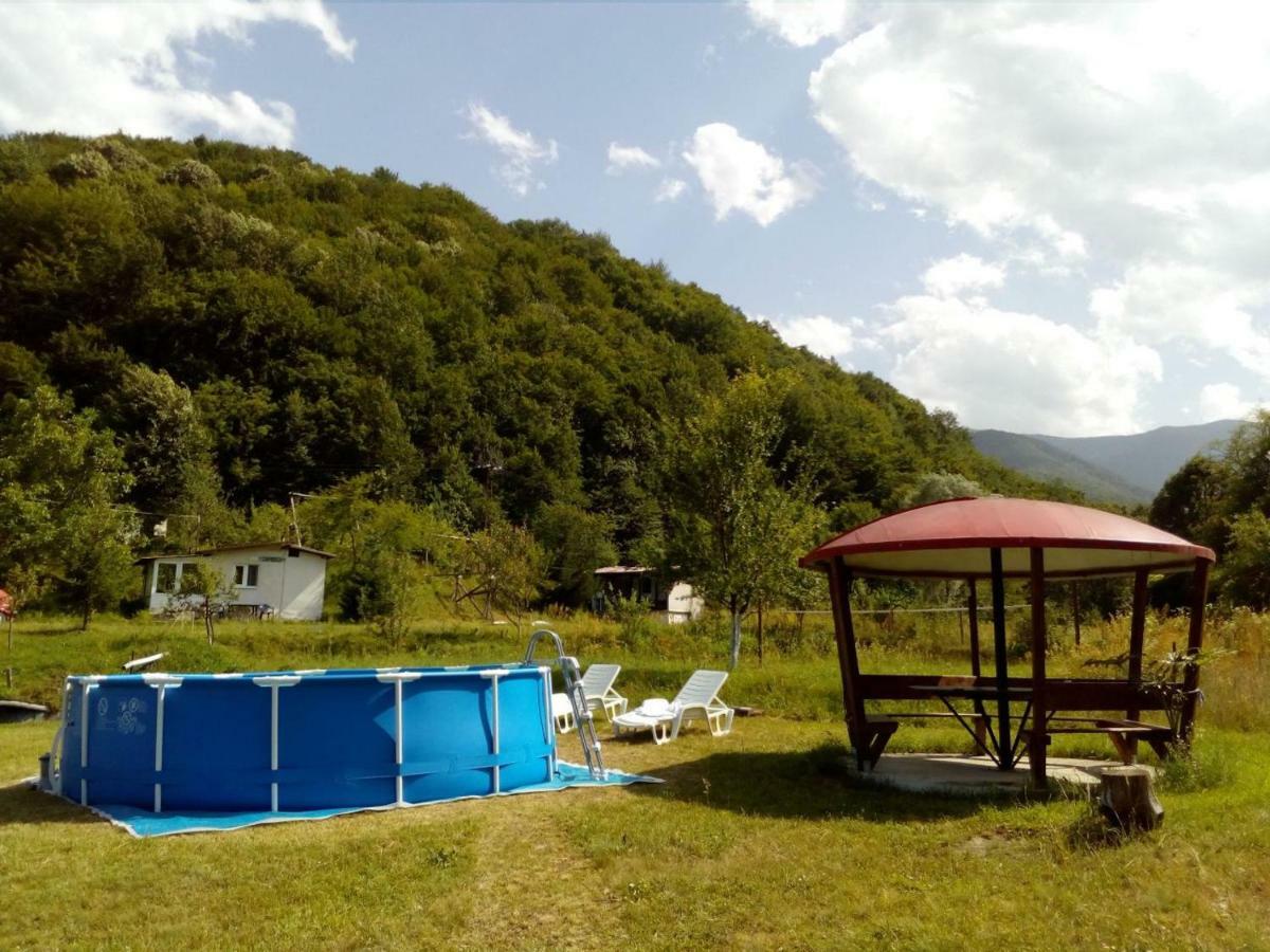 Bungalows Zdravets Berkovitsa Extérieur photo