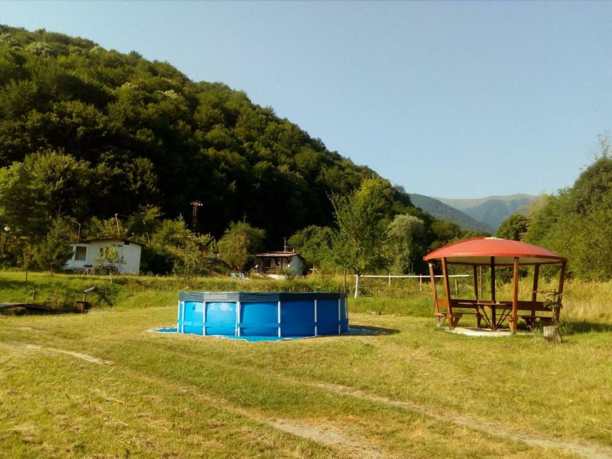 Bungalows Zdravets Berkovitsa Extérieur photo