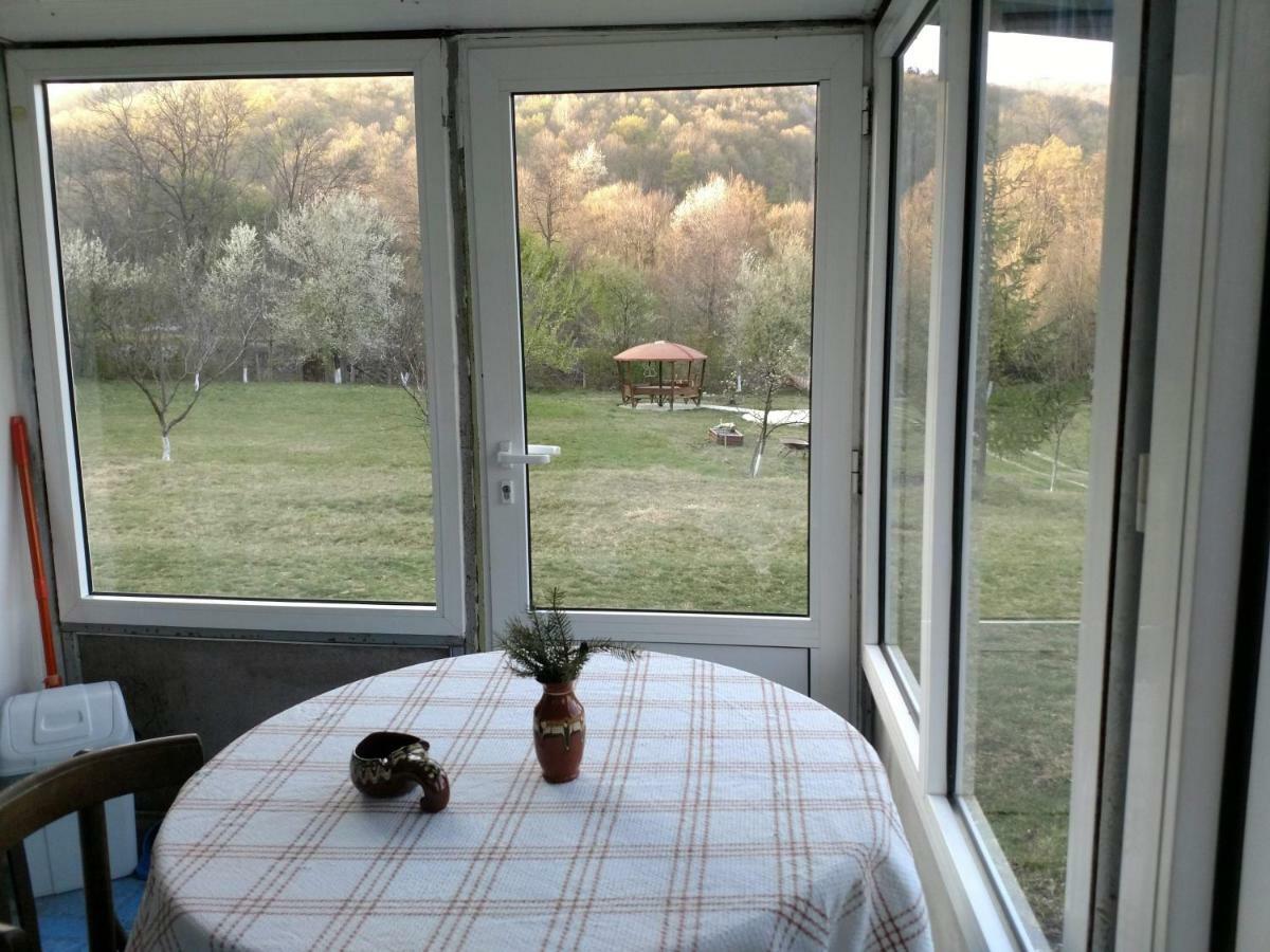 Bungalows Zdravets Berkovitsa Extérieur photo
